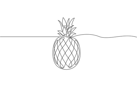 Continuous one line drawing pineapple. Tropical pineapple fruit single line art drawing vector design.