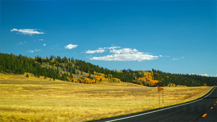 Landscape view beside street and Road sign at Kaibab National Forest Arizona USA