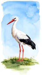 Watercolor stork illustration