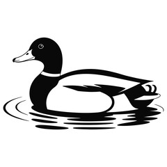 duck on a white background