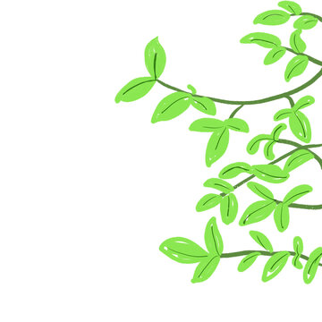 leaf coner