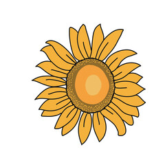 sunflower
