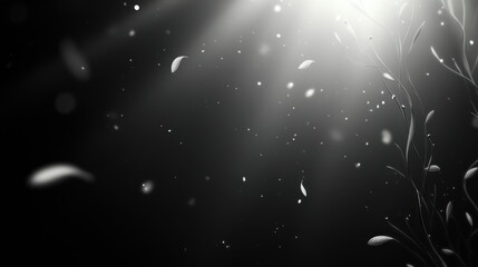 Dark scene, light rays, delicate petals