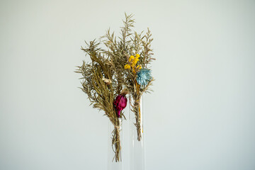 Minimal dried flower arrangement in glass vases