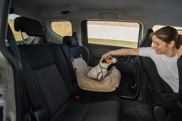 Caucasian woman travels by car with her dog. Jack Russell Terrier in a special car seat. 