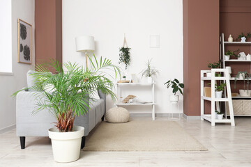 Interior of living room with green plants, sofa and shelf units
