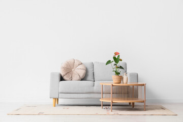Beautiful Anthurium flower on table near sofa in living room interior