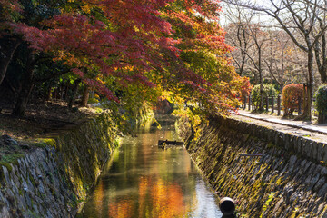 The tranquil Philosopher's Path (Tetsugaku no michi) in Kyoto, a stone walkway along a canal lined...