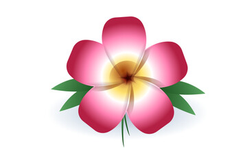 Pink flower isolated
Single pink blossom white background
Cut out pink flower
Pink floral clipart
Pink bloom transparent background