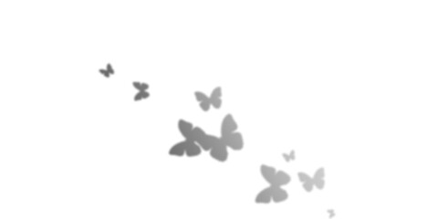 Silhouette Grey Butterflies Dark Background Abstract Art Design