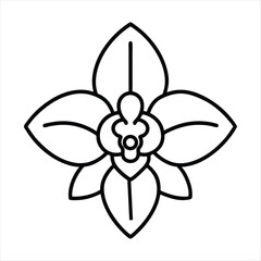 Stylized black outline orchid flower illustration isolated on white background