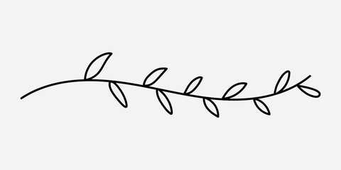 Minimalist botanical line art, hand drawn vector