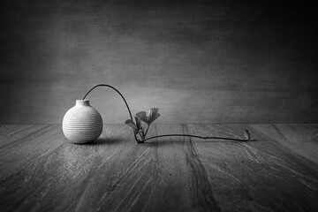 "Rebirth"  Minimalist Fine Art Black and White Image of a Strawberry Runner and a Small Pottery Vase 