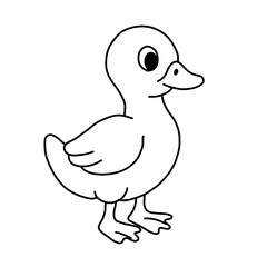 Duck wildlife animal ilustration for colouring book kids worksheet