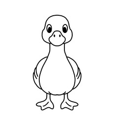 Duck wildlife animal ilustration for colouring book kids worksheet