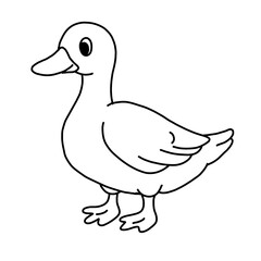 Duck wildlife animal ilustration for colouring book kids worksheet