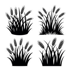 Wheat stalks and grass silhouettes field agriculture