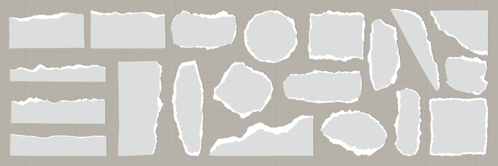 Collection of torn paper edges. Various shapes of torn paper. 