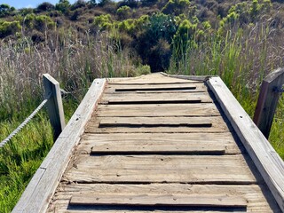 Obraz premium Small Footbridge on Batiquitos Lagoon Trail