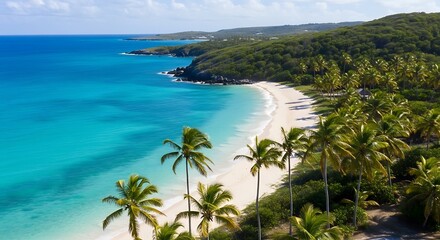 Idyllic tropical beach scene with turquoise waters and swaying palm trees providing shade along