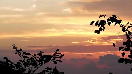 Stunning sunset over the hills, with the silhouette of tree branches in the foreground and a glowing orange sky - Powered by Adobe