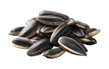 Pile of sunflower seeds isolated on a transparent background
