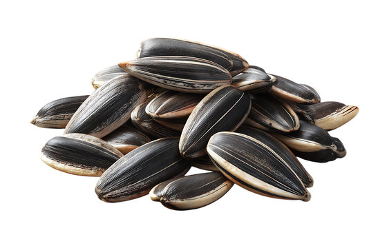 Pile of sunflower seeds isolated on a transparent background