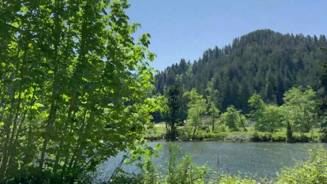 Summer, Driving along Siuslaw River, Hwy 126 OR, from Florence to Mapleton. iPhone 16pro, horizontal 16:9 4K