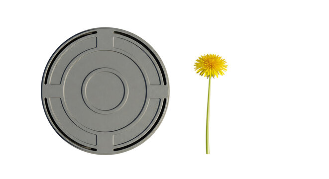 Film reel and dandelion isolated on white background. American food