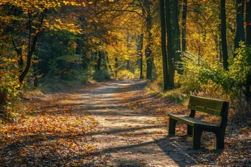 Fototapete Serene forest pathway with vibrant autumn colors and a wooden bench in the late afternoon sunlight © Olena