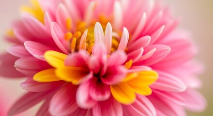 Pastel Floral Seamless Pattern: Delicate, Romantic, Vintage-Style Flower Design, Perfect for Spring and Summer Projects.