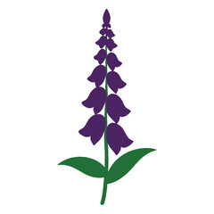 Elegant foxglove silhouette on a clean white background