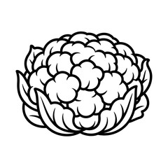 Obraz premium A beautiful line drawing of a cauliflower coloring page