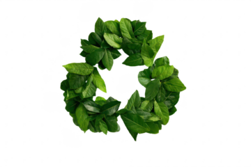 A circular arrangement of lush green leaves forming a natural wreath with vibrant, healthy foliage.