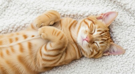 Adorable orange tabby kitten sleeping peacefully on its back with paws curled up on a soft white fluffy blanket