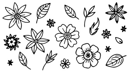 Naklejka premium Elegant Hand-Drawn Floral Elements A Versatile Collection for Creative Designs and Botanical Decorations
