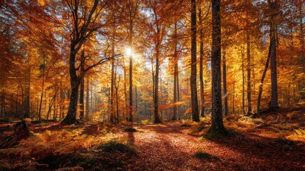 Fototapeta premium Serene Autumn Forest with Golden and Red Foliage and Sunlight