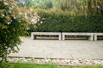 Benches among blooming flowers in a serene park setting during a sunny day