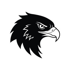 Fototapeta premium A fierce black eagle head with detailed feathers and a sharp beak is isolated on white background, conveying strength and determination