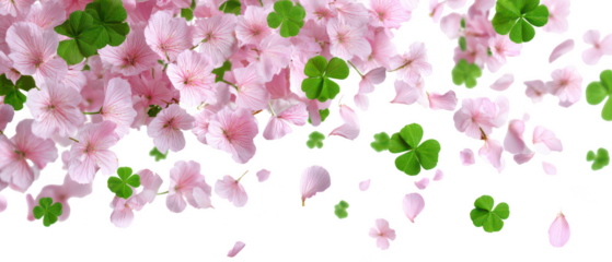 Pink flowers and green clovers falling isolated on transparent background