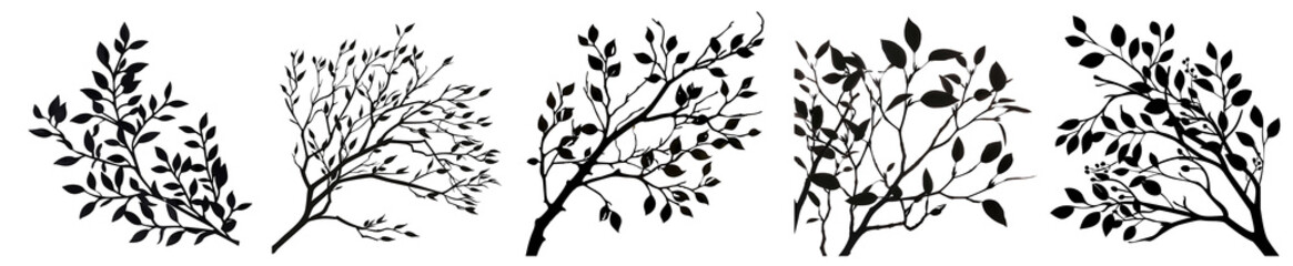 Fototapeta premium Silhouette Botanical Collection: Four Dark Leafy Branches