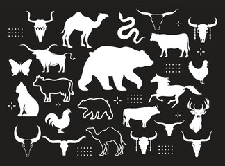 Big vector set of different world wild animals, mammals, fish, reptiles and birds. Rare animals. Funny flat characters, good for banners, prints, patterns