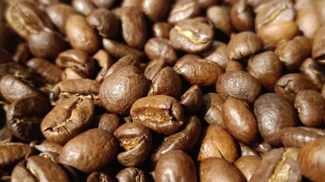 video of coffee beans with selective focus