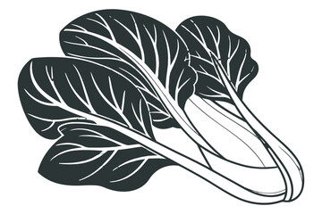 A detailed illustration of bok choy isolated on white background