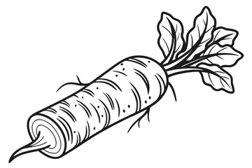 A black and white illustration of a fresh carrot