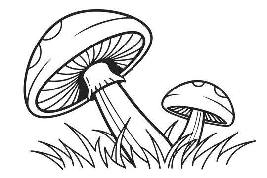 Two cartoon mushrooms growing in the grass