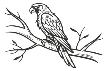 Obraz premium A parrot perched on a tree branch