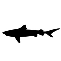 サメのシルエット