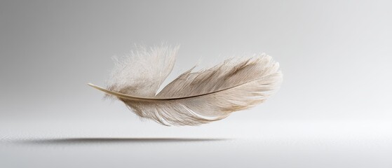 A delicate feather floating in soft light.