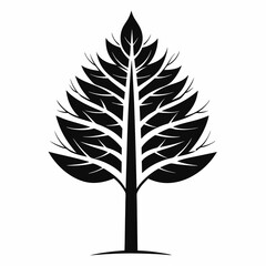 Obraz premium set of trees